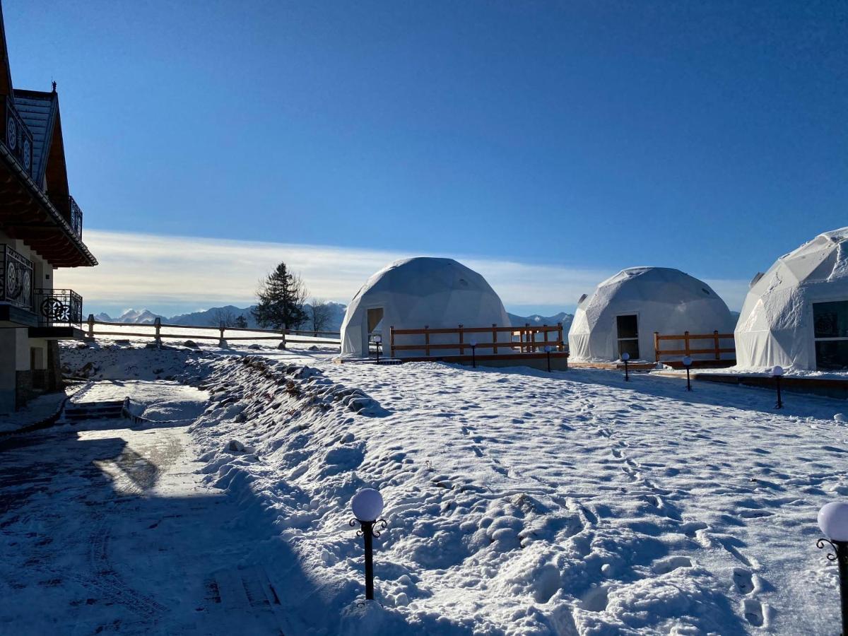 Glamping Pasieka Namiot Glamp Bukowina Tatrzanska - Domki W Gorach Gron Exterior photo