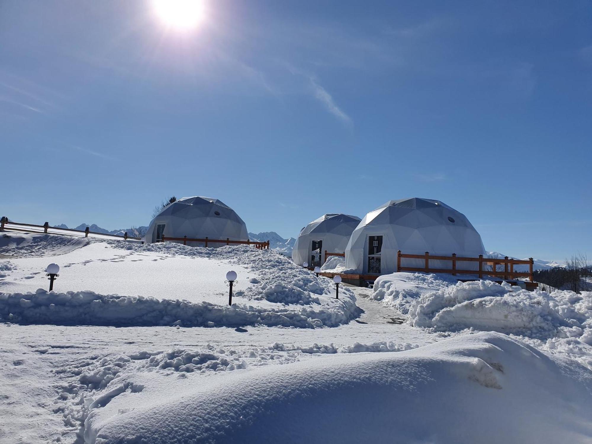 Glamping Pasieka Namiot Glamp Bukowina Tatrzanska - Domki W Gorach Gron Exterior photo